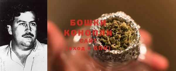 хмурый Белокуриха