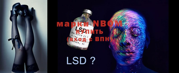 хмурый Белокуриха