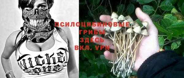 хмурый Белокуриха