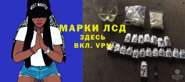 дживик Богородицк