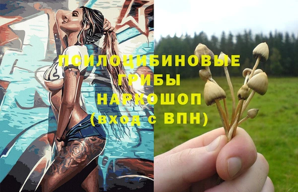 хмурый Белокуриха