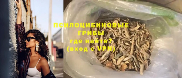 хмурый Белокуриха