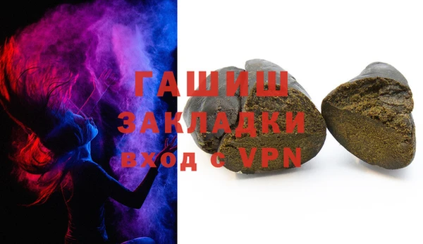 хмурый Белокуриха