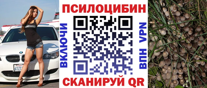 маркетплейс какой сайт  Углич  Псилоцибиновые грибы GOLDEN TEACHER 